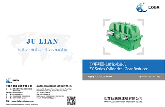 Jiangsu Julian ZY Mẫu 2021